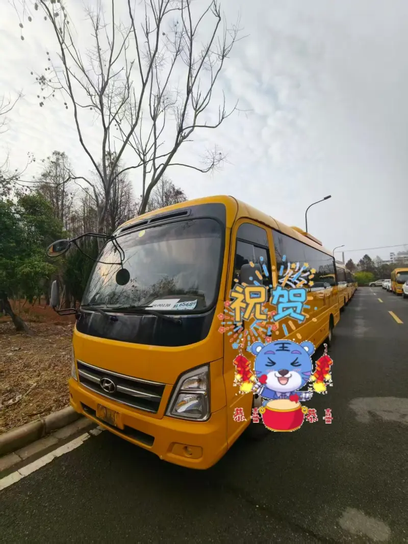 El negocio de autobuses usados ​​de pasajeros Honglong de China avanza de manera constante en marzo; Múltiples vehículos entregados a clientes globales